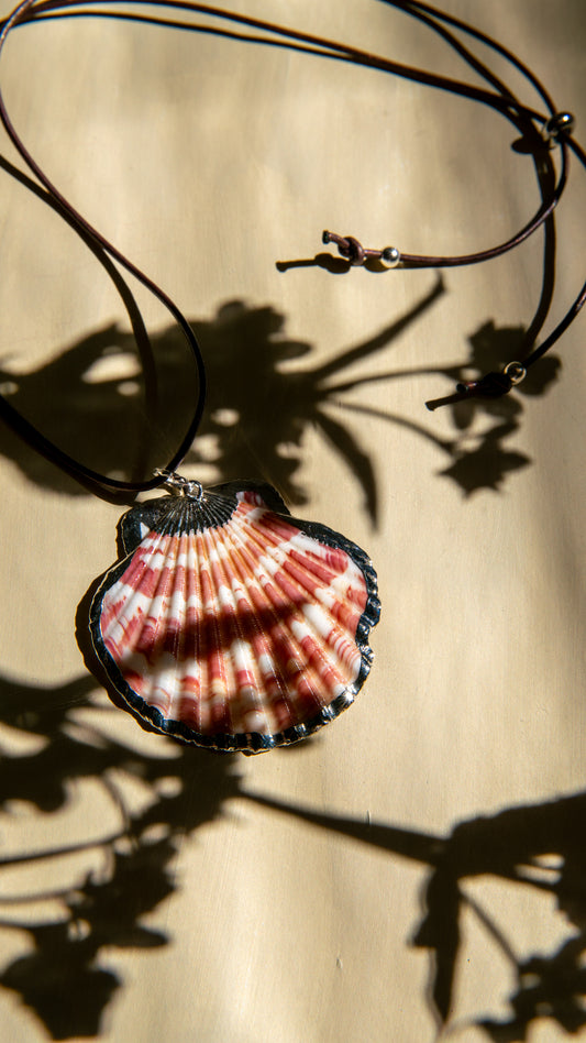 Silver Rose Shell