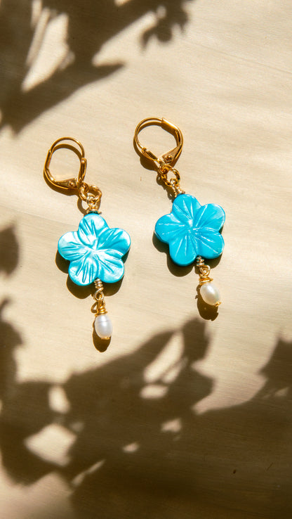 The Ocean Bloom