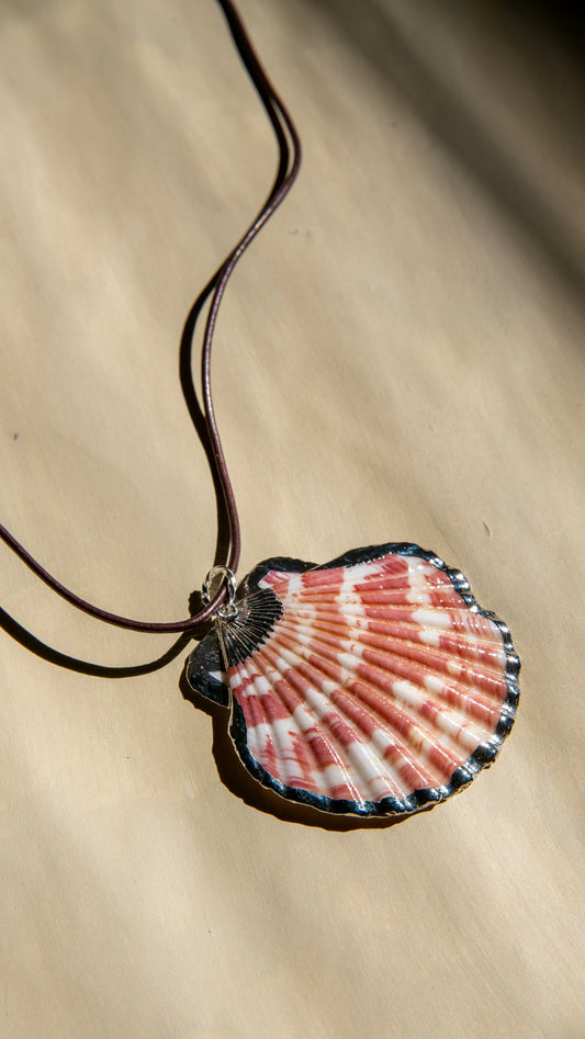 A scallop shell pendant necklace with a brown cord, displayed on a textured beige surface under warm, directional sunlight.