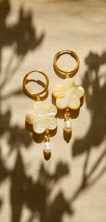 The Sunny Belle